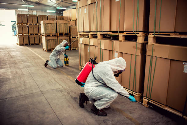 Best Emergency Pest Control  in Orwell, OH