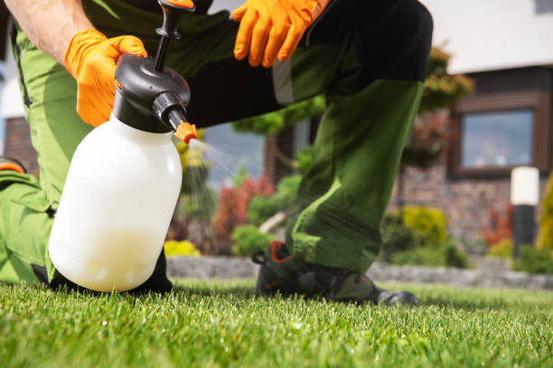 Best Pest Control Treatment  in Orwell, OH