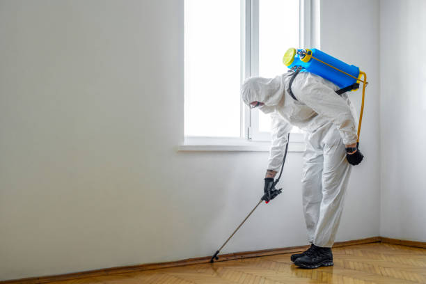 Best Mosquito Control Services  in Orwell, OH