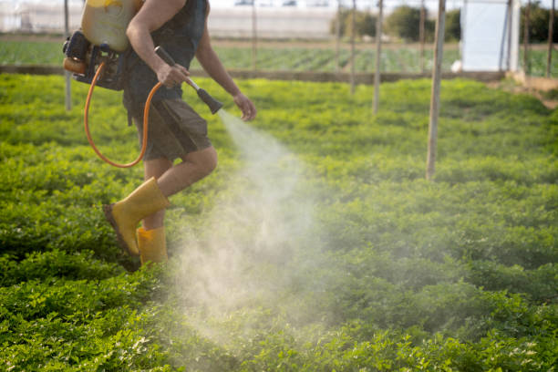Best Affordable Pest Control Services  in Orwell, OH