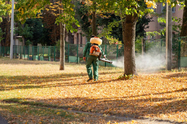 Best Flea Control Services  in Orwell, OH