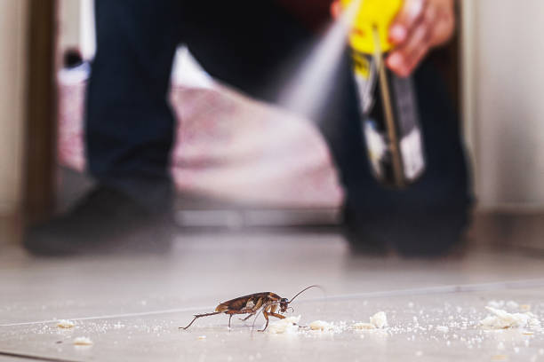 Best Pest Control for Restaurants  in Orwell, OH