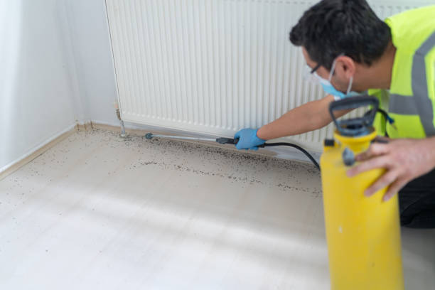 Best Best Pest Control Companies  in Orwell, OH