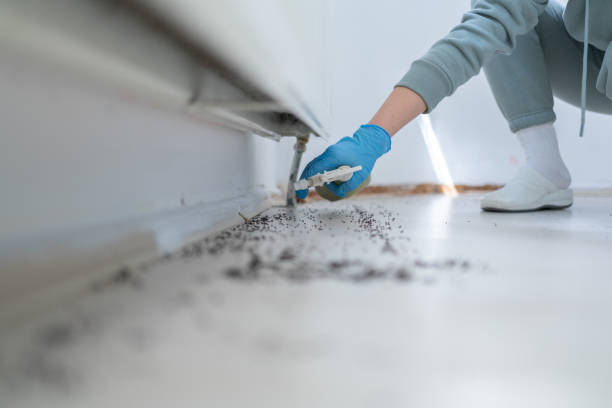 Professional Pest Control in Orwell, OH